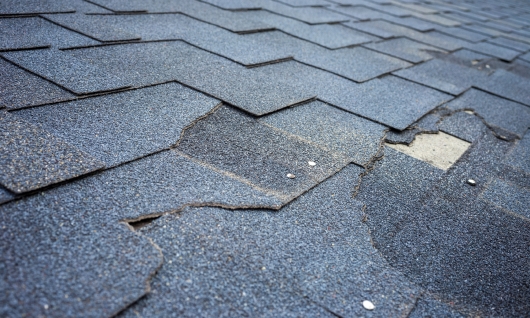 damaged asphalt shingle from storm