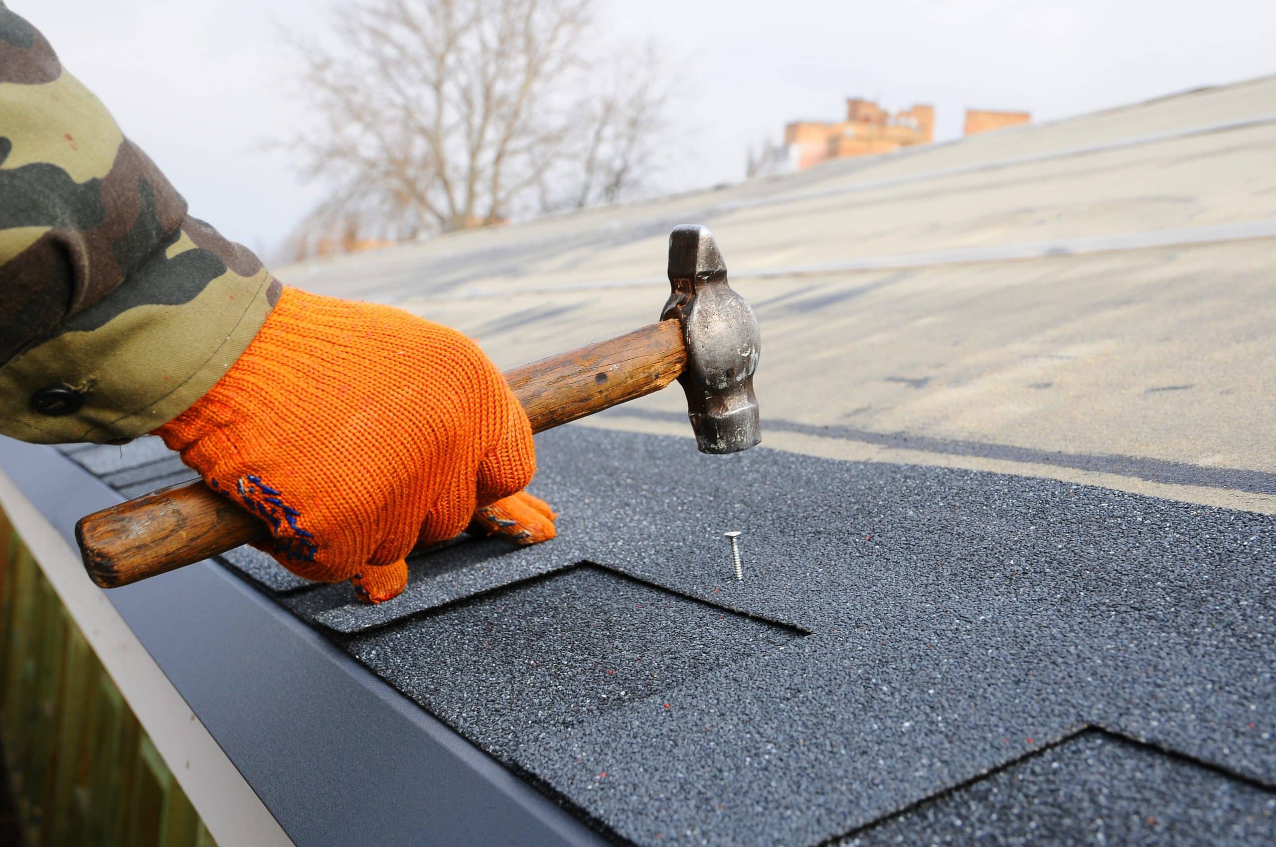 new roof replacement