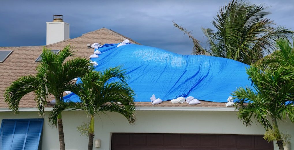 how to tarp a roof; house with palm trees