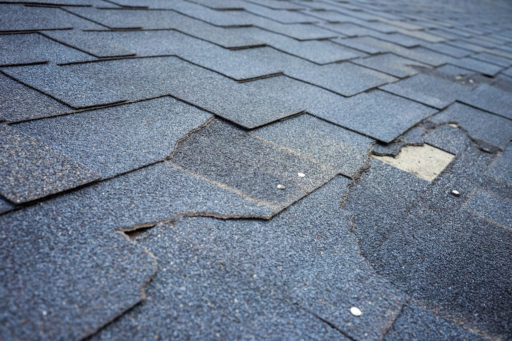 repair or replace roof 