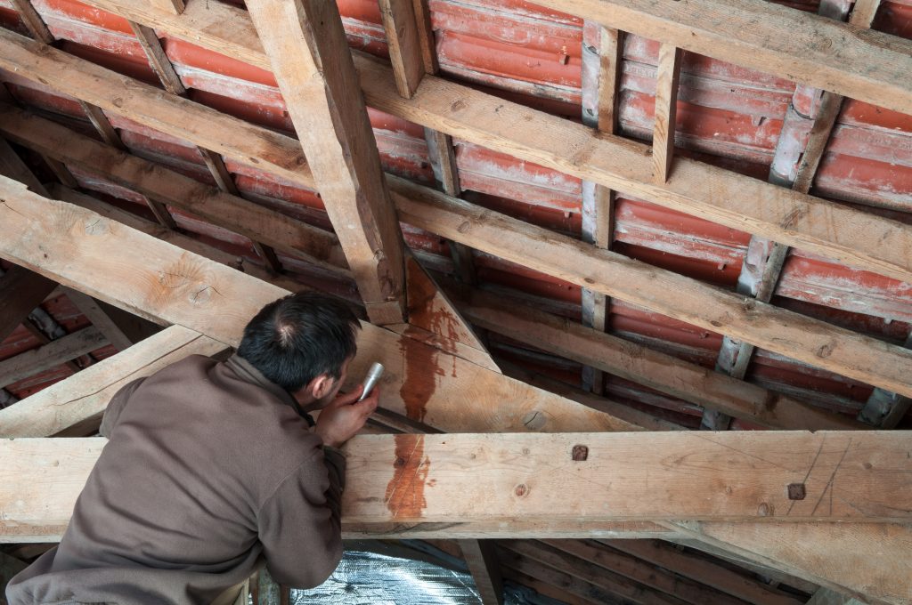 man looking for a roof leak in the attic