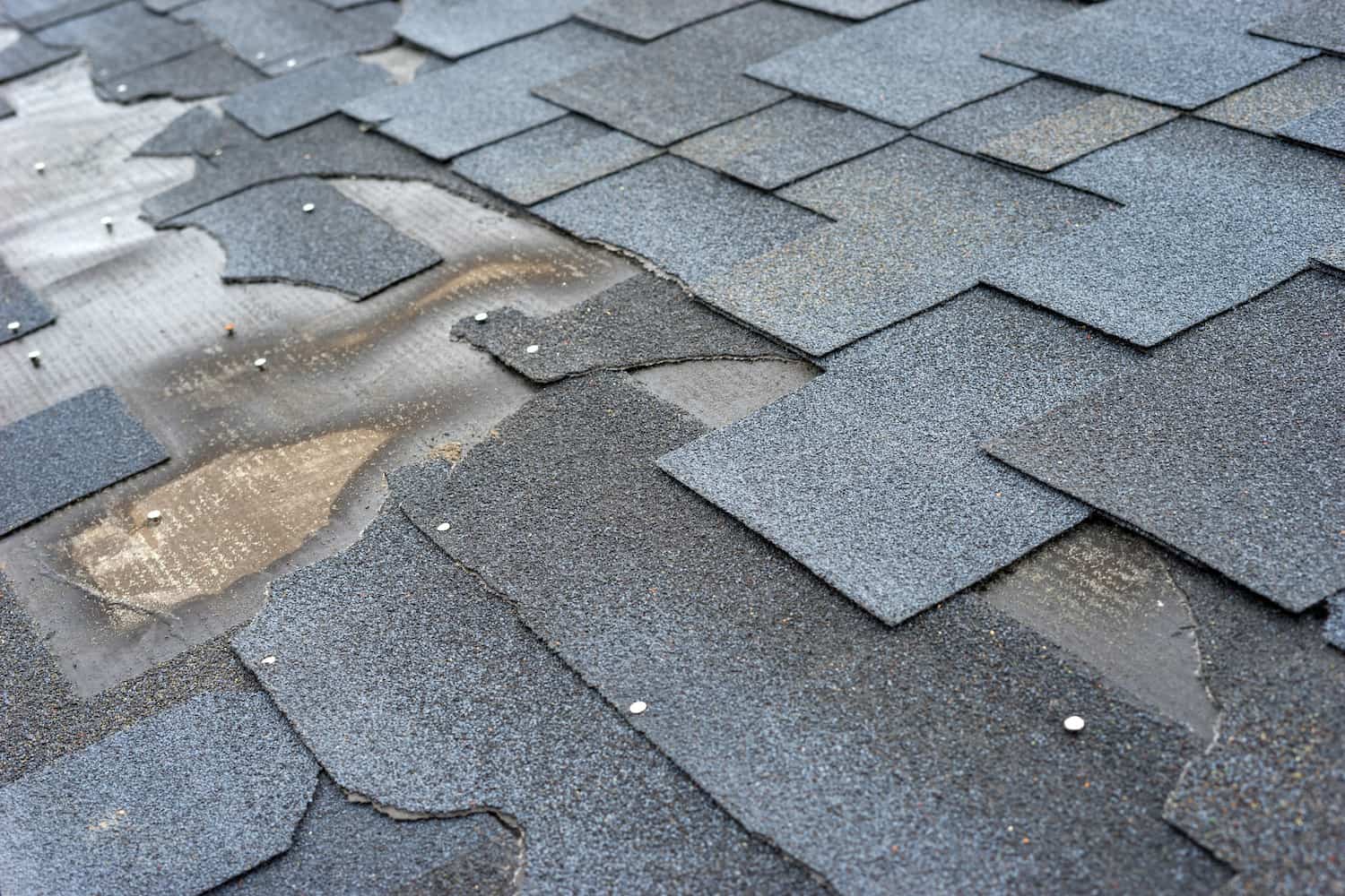 roof inspection shingles